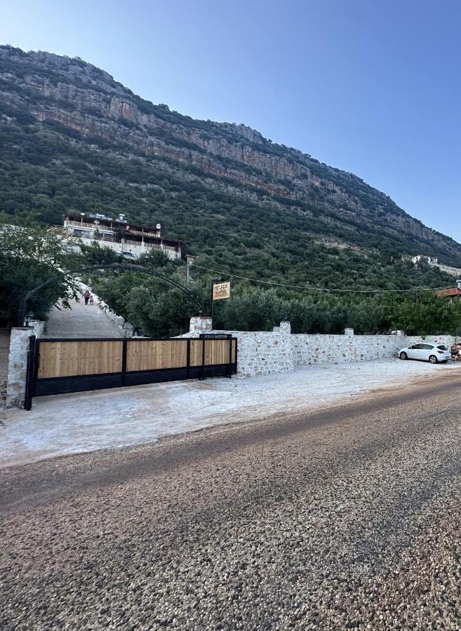 Istlada Tas Ev Apart - Kekova View Kapaklı المظهر الخارجي الصورة